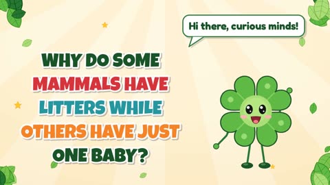 Why do some mammals have litters while others have just one baby?