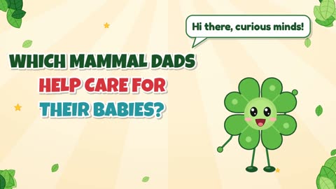 Which mammal dads help care for their babies?
