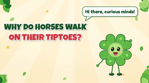 Why do horses walk on their tiptoes?