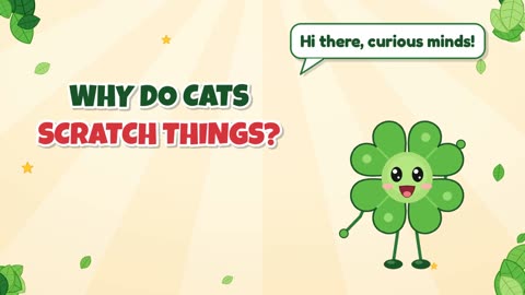Why do cats scratch things?