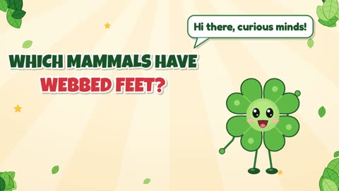 Which mammals have webbed feet?