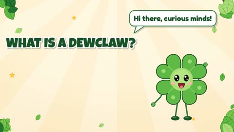What is a dewclaw?