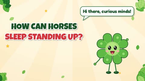 How can horses sleep standing up?