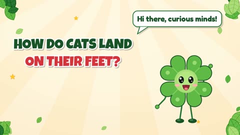 How do cats land on their feet?