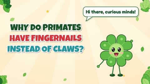 Why do primates have fingernails instead of claws?
