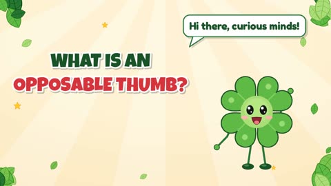 What is an opposable thumb?
