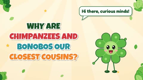 Why are chimpanzees and bonobos our closest cousins?