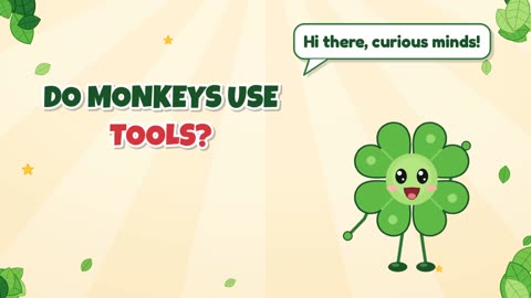 Do monkeys use tools?