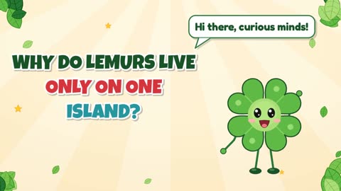 Why do lemurs live only on one island?