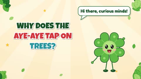 Why does the aye-aye tap on trees?