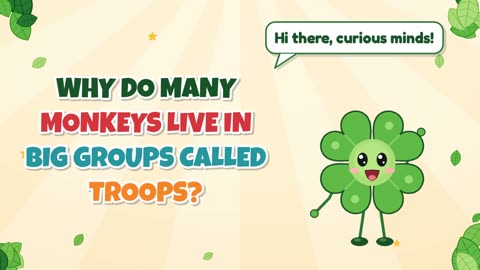 Why do many monkeys live in big groups called troops?
