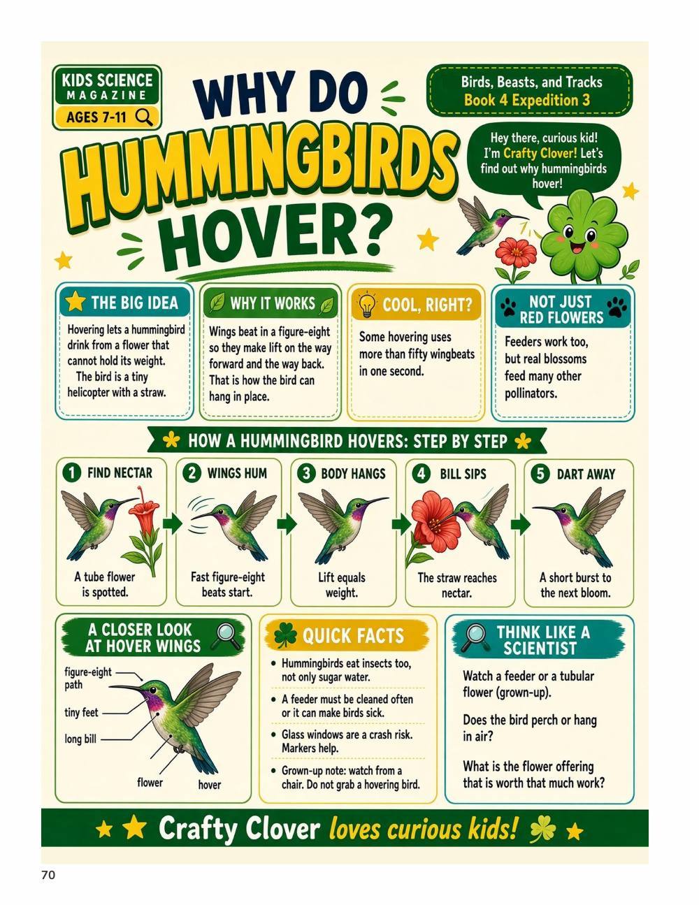 Illustrated page from A Million Whys Book 4 titled Why Do Hummingbirds Hover, with Crafty Clover.