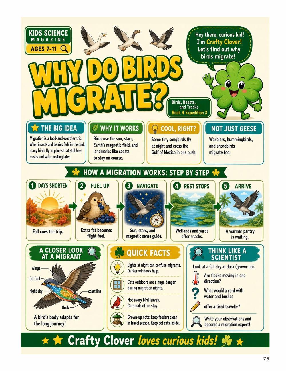 Illustrated page from A Million Whys Book 4 titled Why Do Birds Migrate, with Crafty Clover.