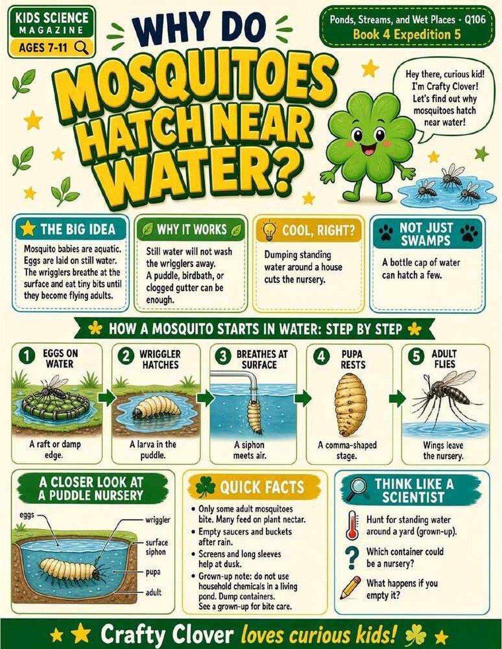 Illustrated page from A Million Whys Book 4 titled Why Do Mosquitoes Hatch Near Water, with Crafty Clover.