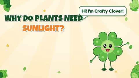 Why Do Plants Need Sunlight?