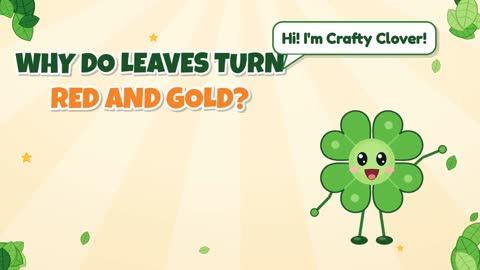 Why Do Leaves Turn Red and Gold?