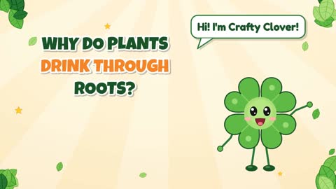 Why Do Plants Drink Through Roots?