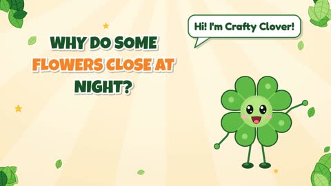 Why Do Some Flowers Close at Night?