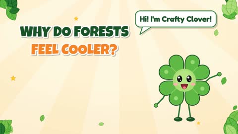 Why Do Forests Feel Cooler?