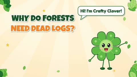 Why Do Forests Need Dead Logs?