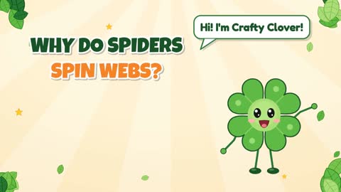 Why Do Spiders Spin Webs?