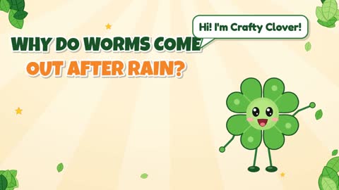 Why Do Worms Come Out After Rain?