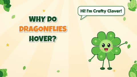 Why Do Dragonflies Hover?