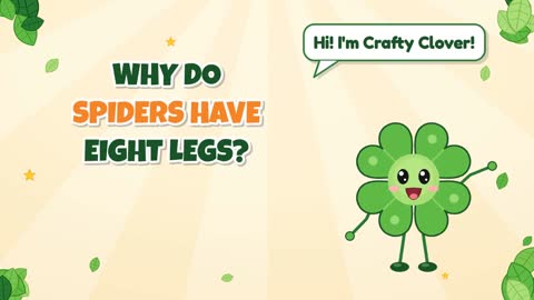 Why Do Spiders Have Eight Legs?