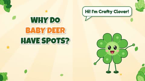 Why Do Baby Deer Have Spots?