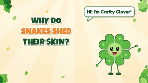 Why Do Snakes Shed Their Skin?