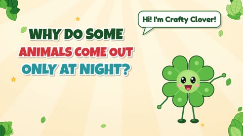 Why Do Some Animals Come Out Only at Night?