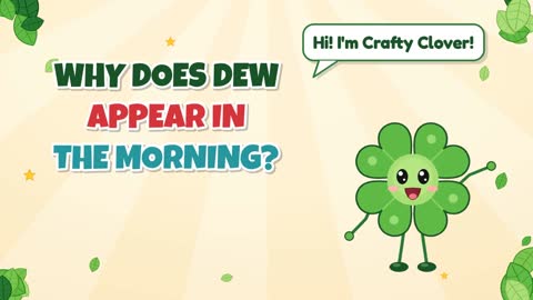 Why Does Dew Appear in the Morning?