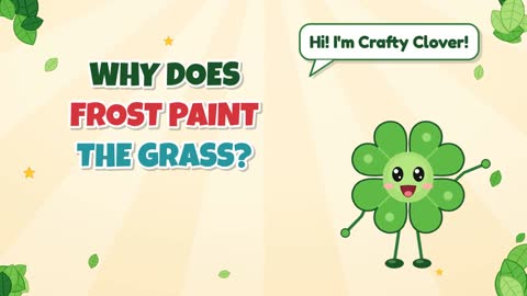 Why Does Frost Paint the Grass?