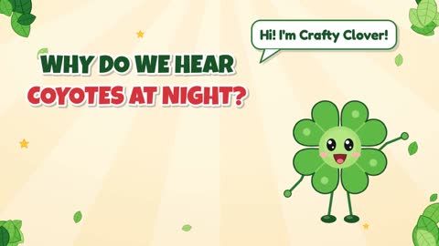 Why Do We Hear Coyotes at Night?