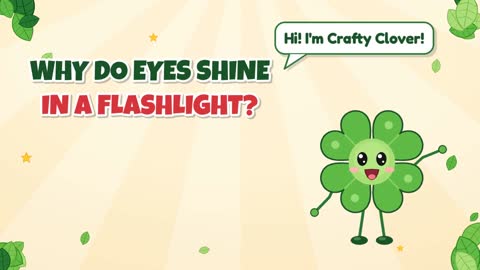 Why Do Eyes Shine in a Flashlight?