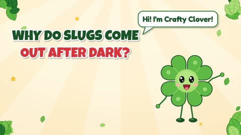 Why Do Slugs Come Out After Dark?