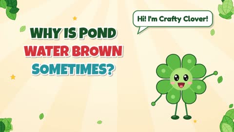 Why Is Pond Water Brown Sometimes?