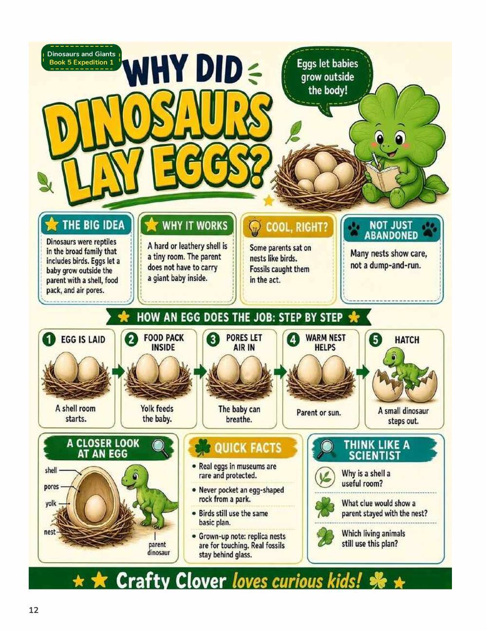 Illustrated page from A Million Whys Book 5 titled Why Did Dinosaurs Lay Eggs, with Crafty Clover.