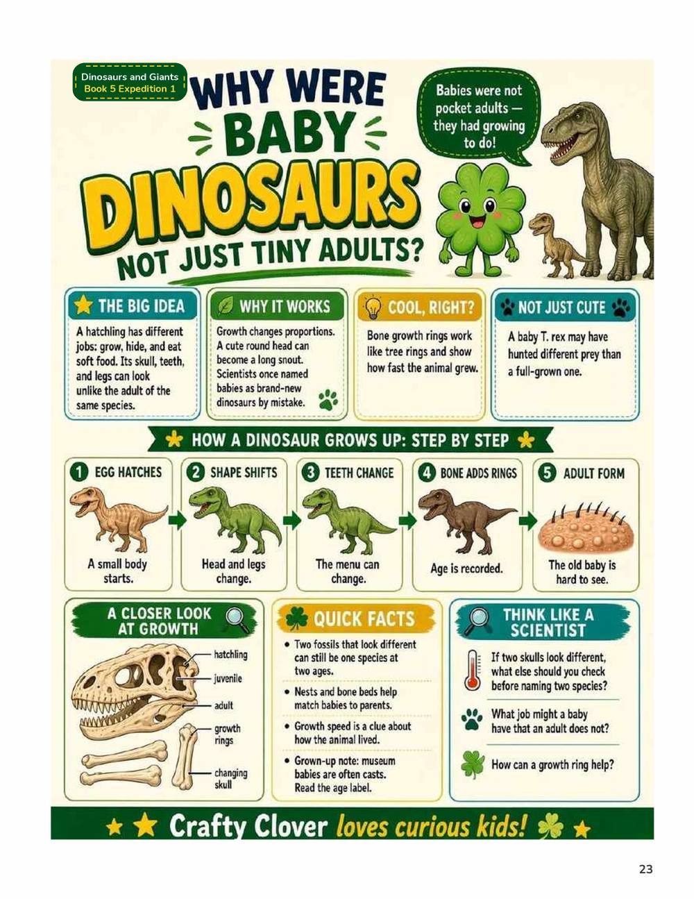Illustrated page from A Million Whys Book 5 titled Why Were Baby Dinosaurs Different, with Crafty Clover.