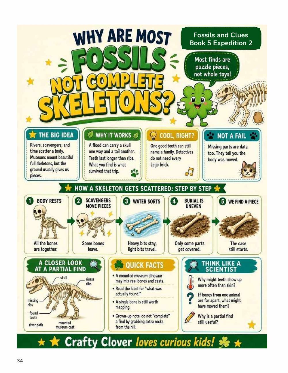 Illustrated page from A Million Whys Book 5 titled Why Are Most Fossils Not Whole Skeletons, with Crafty Clover.