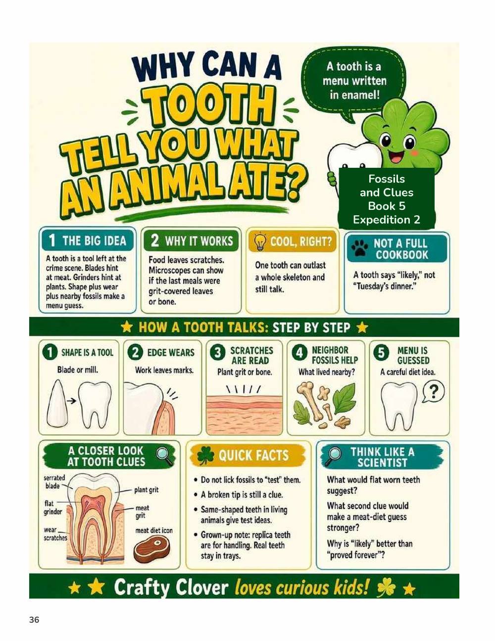 Illustrated page from A Million Whys Book 5 titled How Can a Tooth Tell What an Animal Ate, with Crafty Clover.