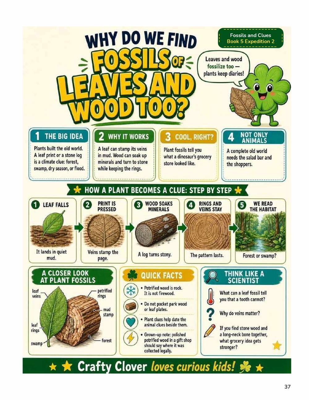 Illustrated page from A Million Whys Book 5 titled Why Do We Find Fossils of Leaves and Wood, with Crafty Clover.