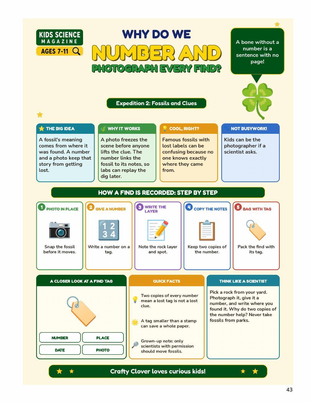 Illustrated page from A Million Whys Book 5 titled Why Number and Photograph Every Find, with Crafty Clover.