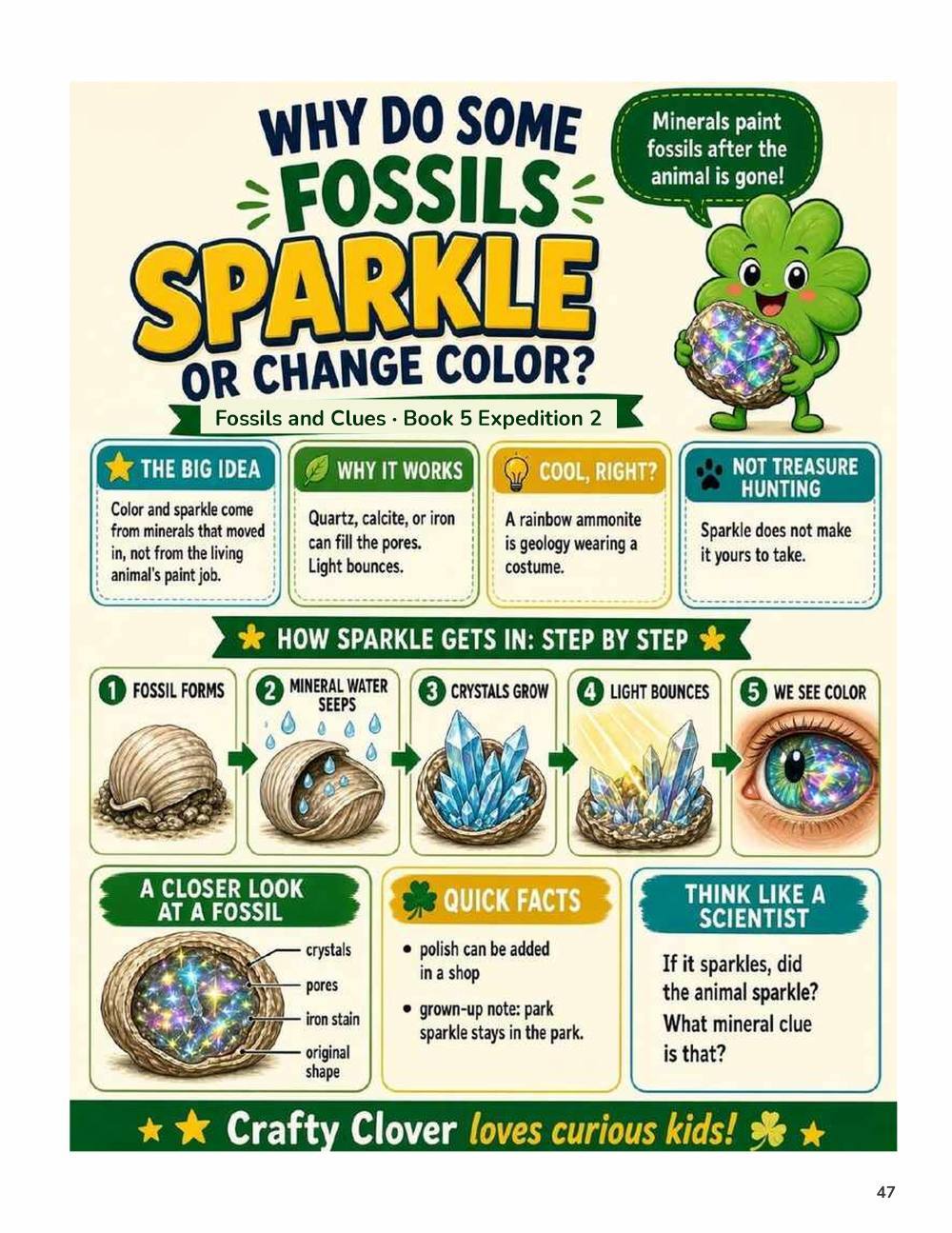 Illustrated page from A Million Whys Book 5 titled Why Do Some Fossils Sparkle or Change Color, with Crafty Clover.