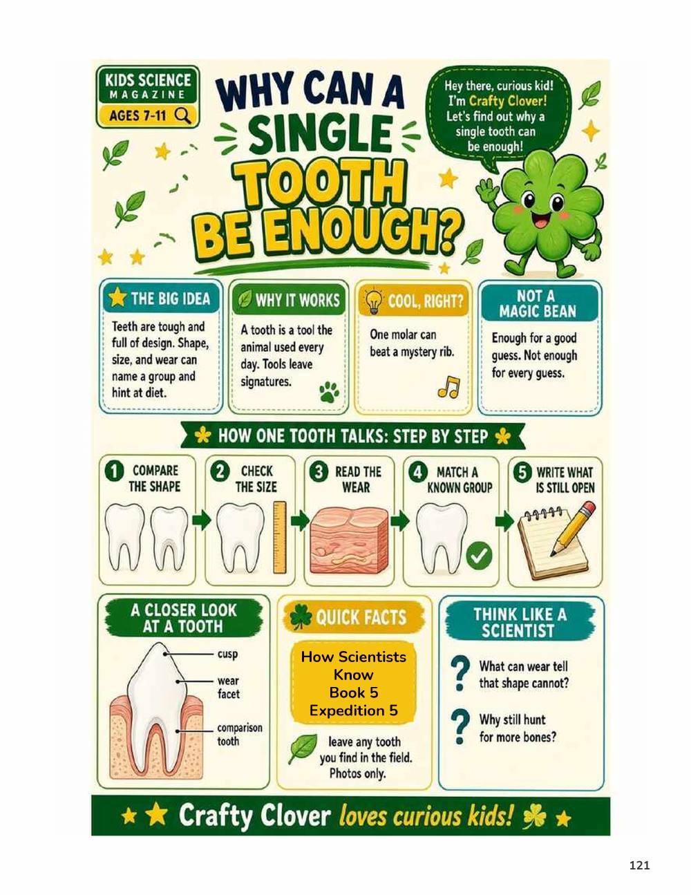 Illustrated page from A Million Whys Book 5 titled Why Can a Single Tooth Be Enough, with Crafty Clover.