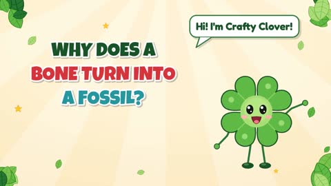 Bone to Stone! Why Does a Bone Turn Into a Fossil?