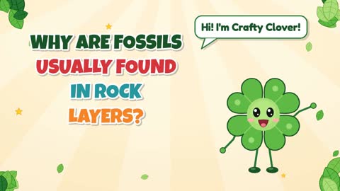 Layer Cake Earth! Why Are Fossils Found in Rock Layers?