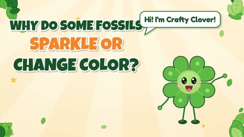 Sparkly Stone! Why Do Some Fossils Sparkle or Change Color?