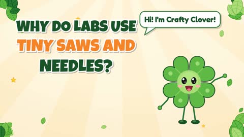 Tiny Tools! Why Do Labs Use Tiny Saws and Needles?