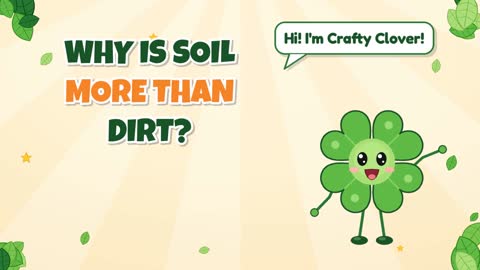 More Than Mud! Why Is Soil More Than Dirt?